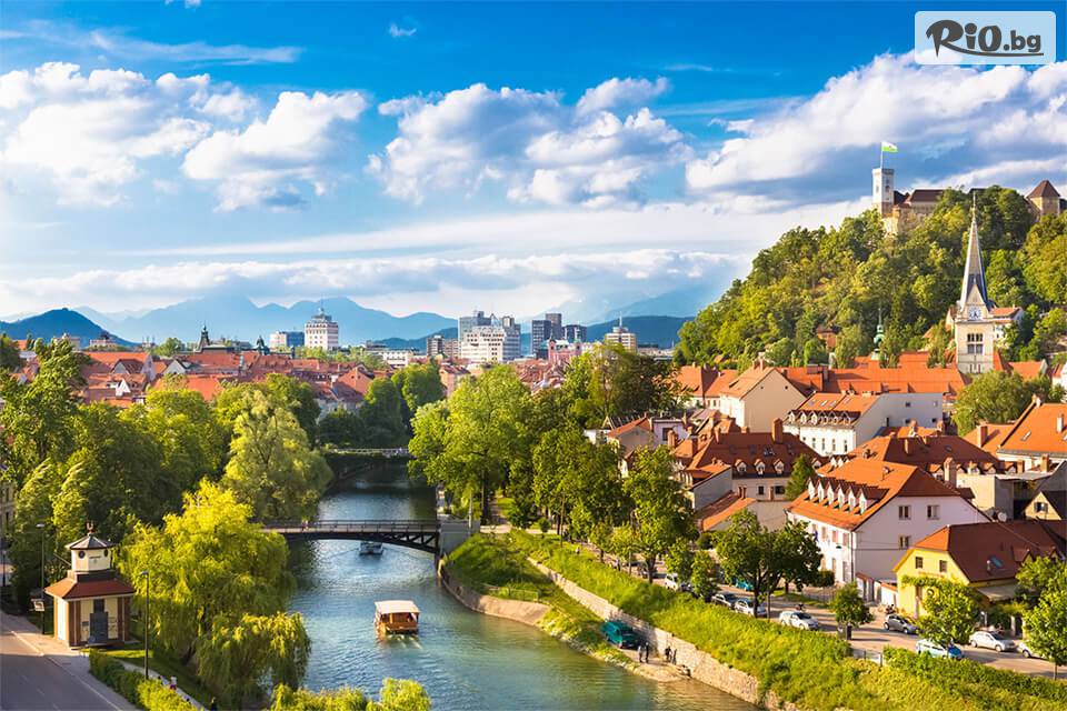 Вени Травел - thumb 7 Вени Травел - thumb 7