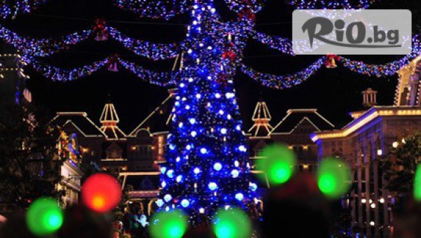 Eagle Travel - thumb 6