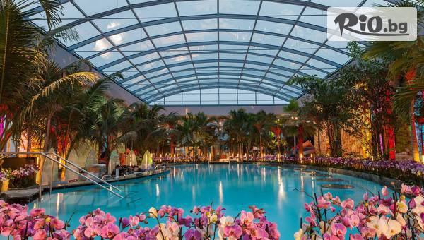 Адвентур - thumb 4