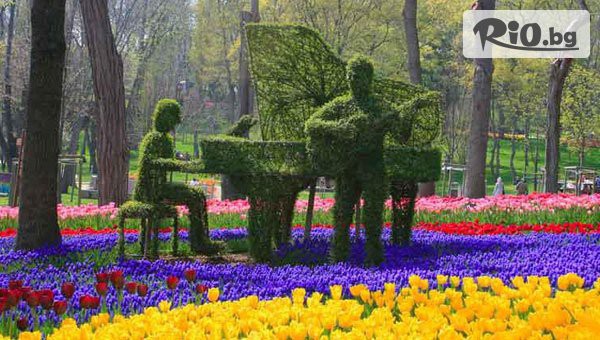 ABV Travels - thumb 2