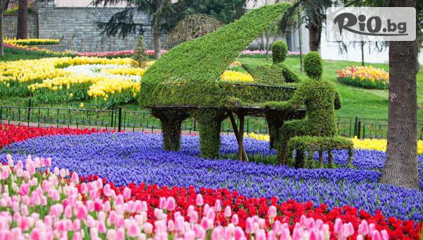 ТА Поход - thumb 2