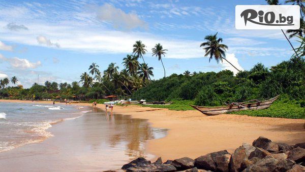 Солвекс - thumb 2