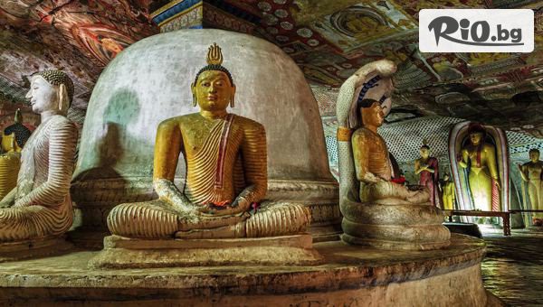 Солвекс - thumb 4