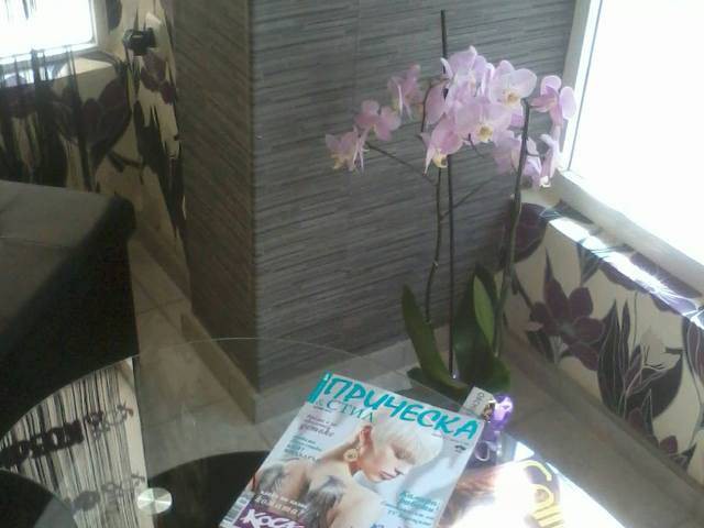 студио КИС - thumb 2 студио КИС - thumb 2