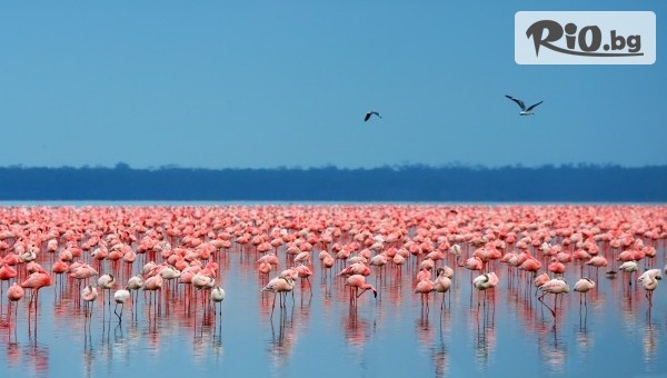 Туристическа агенция Дрийм Тур - thumb 4