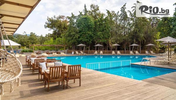 Bella Travel - thumb 2