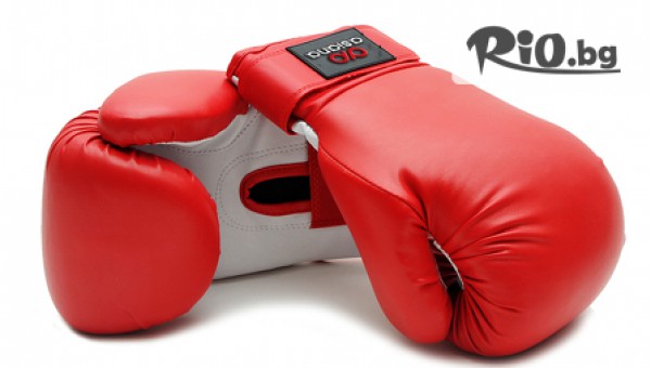 Архолл Арена - thumb 2