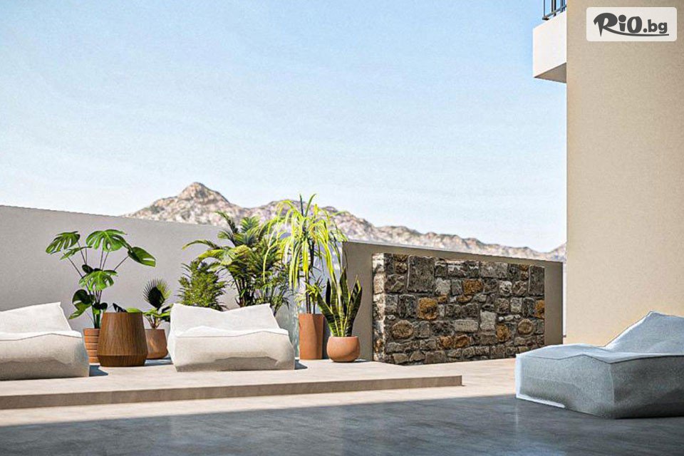 Солвекс - thumb 12 Солвекс - thumb 12