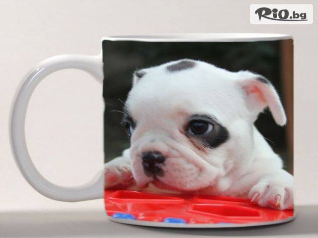 FUJIFILM PRO PHOTO CENTER - thumb 5