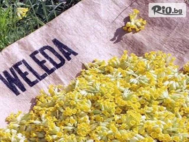 Dream Wellnes Center - thumb 1 Dream Wellnes Center - thumb 1