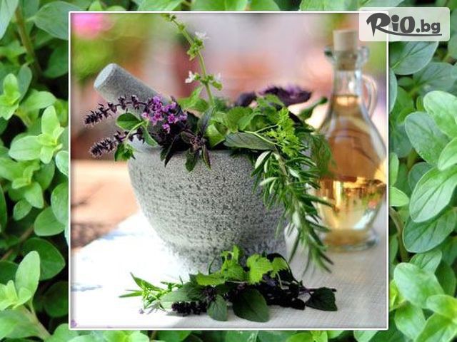 Dream Wellnes Center - thumb 2 Dream Wellnes Center - thumb 2