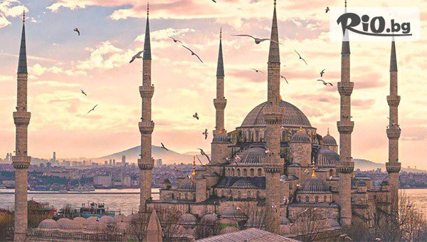 Глобул Турс - thumb 6