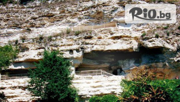 Виватурс - thumb 2