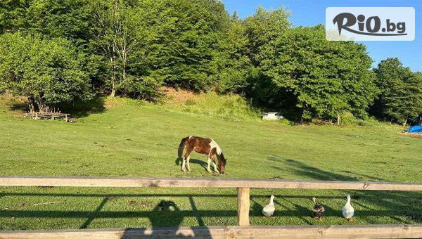 Къща за гости Давидковска река - thumb 2