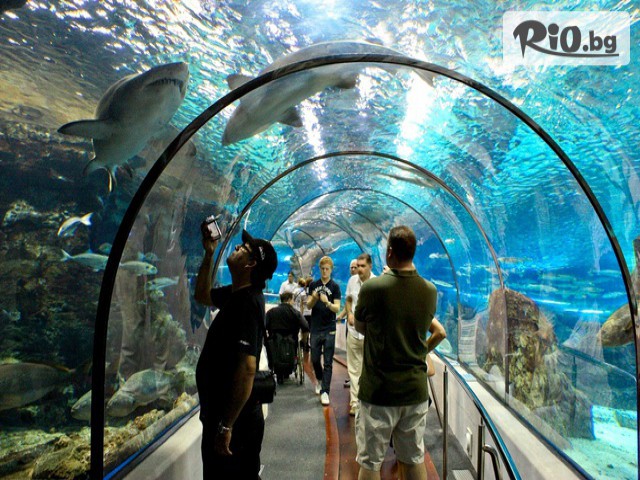 Bella Travel - thumb 2 Bella Travel - thumb 2