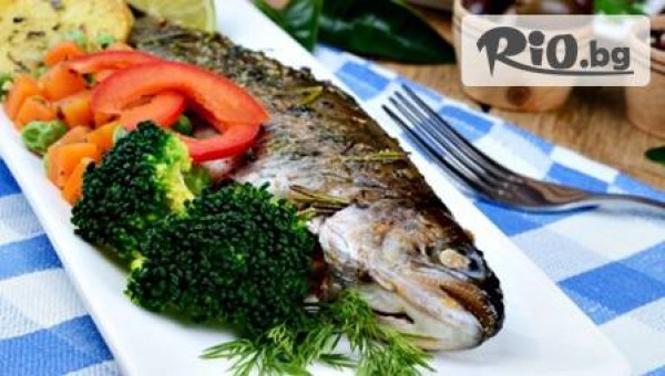 Наслади се на вкусна салата и ястие /по избор/ само за 6.50лв, от Ресторант Амор