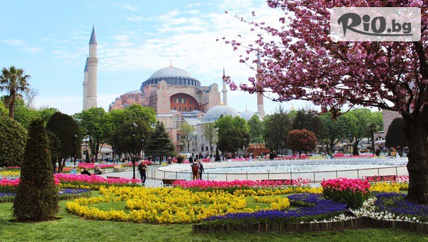 Молина Травел - thumb 2