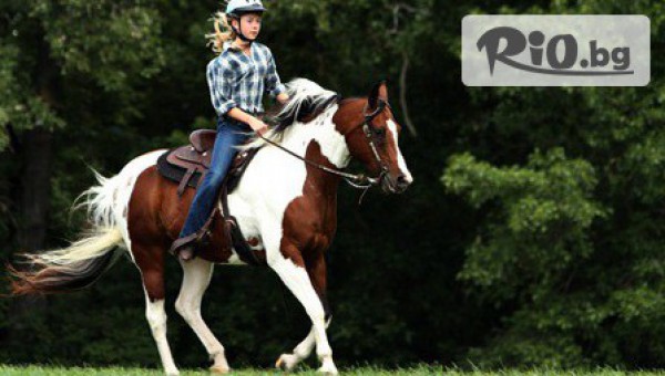 Конна база София - Юг - thumb 3