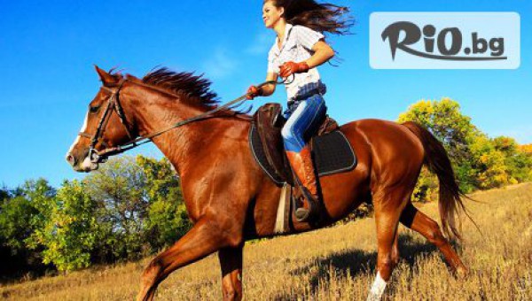 Конна база София - Юг - thumb 2