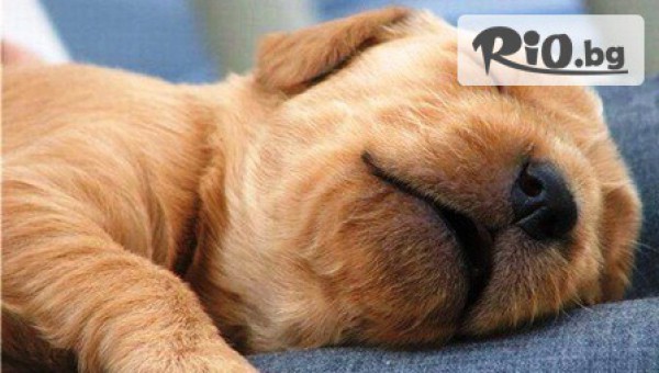 МАГАЗИН SHOCK STOCK - thumb 3