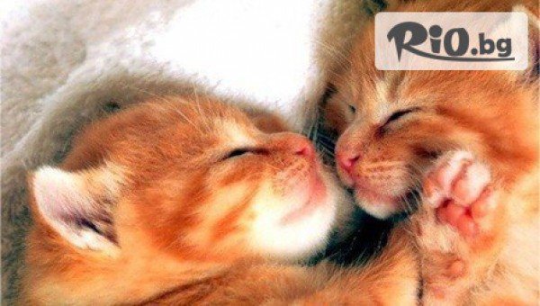 МАГАЗИН SHOCK STOCK - thumb 4