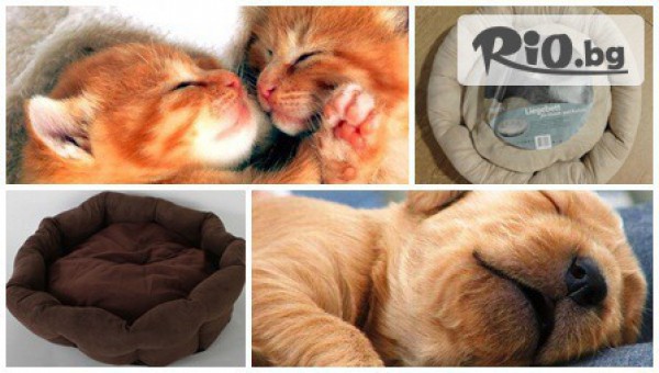 С грижа за вашия домашен любимец! Кучешко или котешко легълце само за 14.99лв, от МАГАЗИН SHOCK STOCK