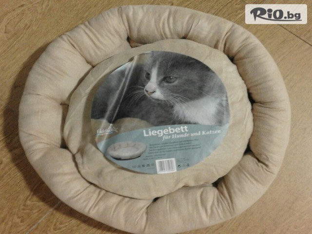 МАГАЗИН SHOCK STOCK - thumb 1 МАГАЗИН SHOCK STOCK - thumb 1