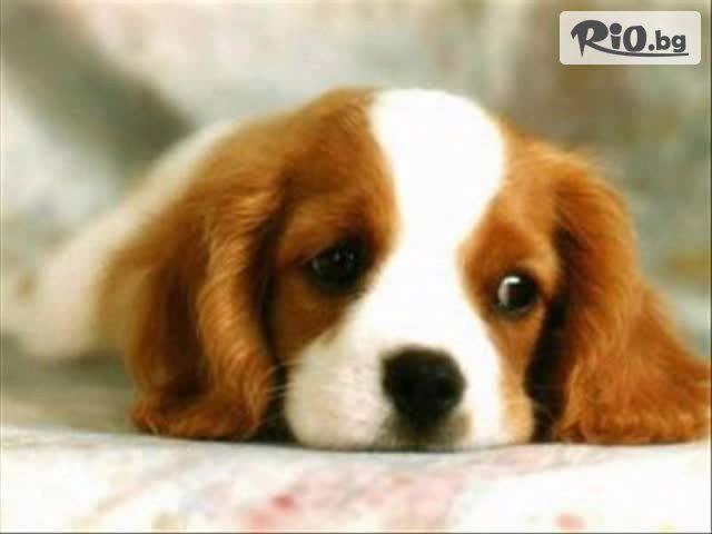 МАГАЗИН SHOCK STOCK - thumb 3 МАГАЗИН SHOCK STOCK - thumb 3