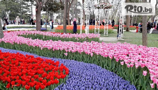 Йонека турс - thumb 4