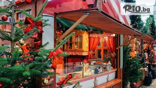 Руал Травел - thumb 4