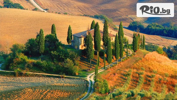 Руал Травел - thumb 6