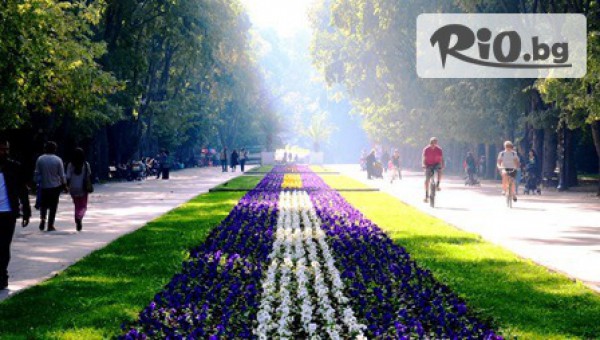 Хотел Фокус - thumb 5