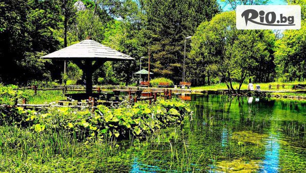 Джуанна Травел - thumb 2