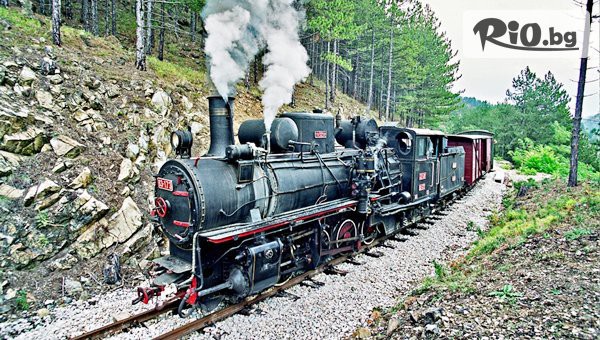 Глобул Турс - thumb 4