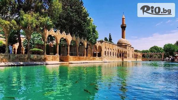 Golden Voyages - thumb 5