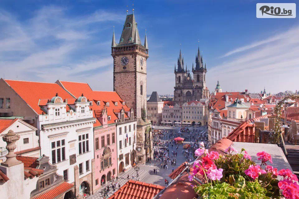 Солвекс - thumb 1 Солвекс - thumb 1