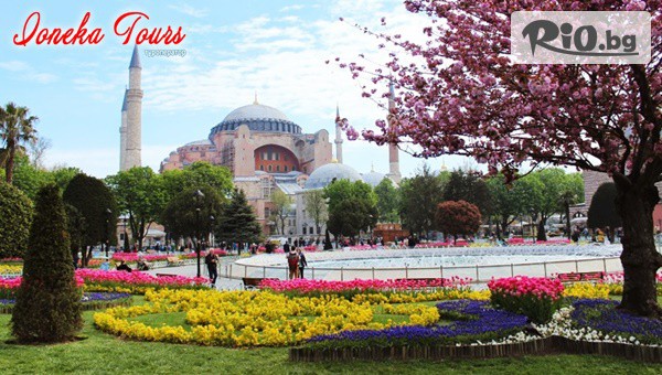 Йонека турс - thumb 2