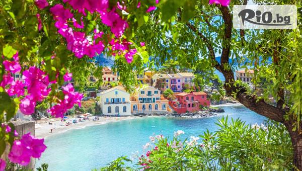 Солвекс - thumb 1