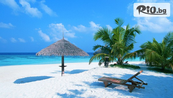 Далла Турс - thumb 3