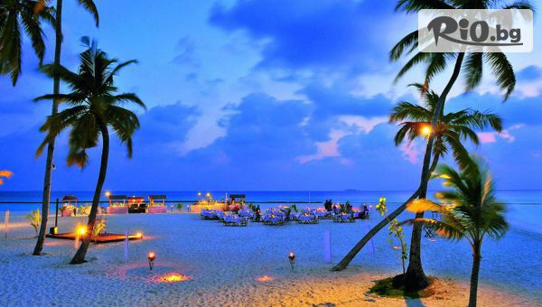 Далла Турс - thumb 5