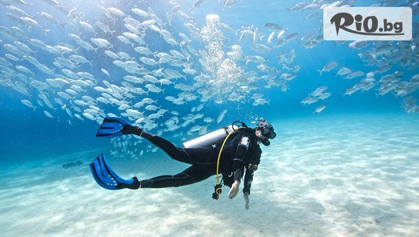 Водолазен център DUE - thumb 3