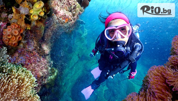 Водолазен център DUE - thumb 2