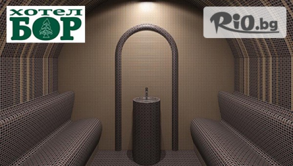 Хотел Бор,Семково - thumb 4