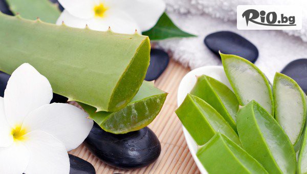 KPhysio - кaбинет за масаж - thumb 3