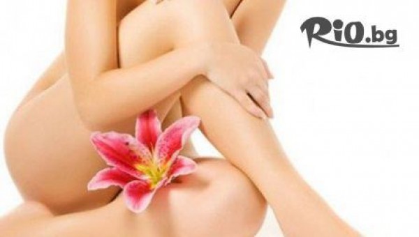 Стелиана стил - thumb 3