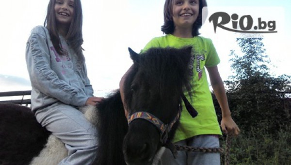 VitoshaFUN - thumb 2