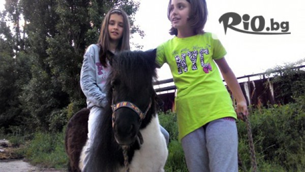 VitoshaFUN - thumb 3