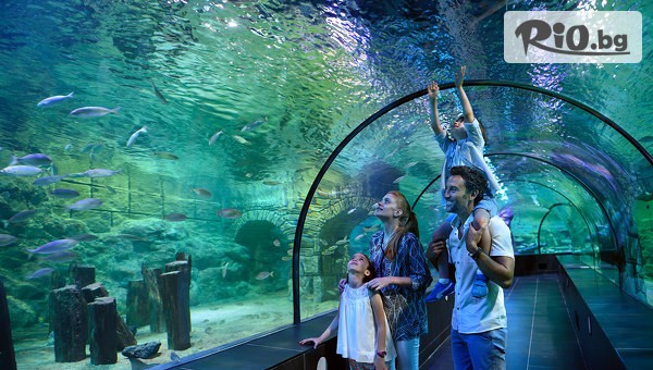 Джуанна Травел - thumb 3