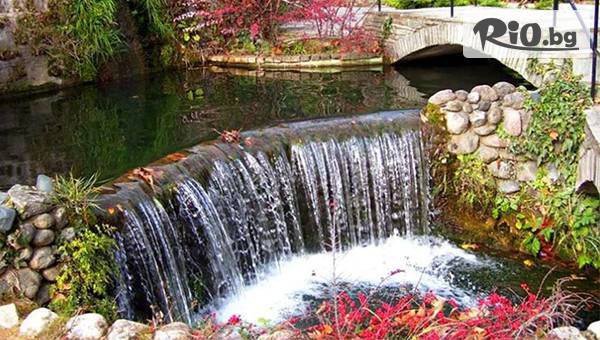 Глобул Турс - thumb 1