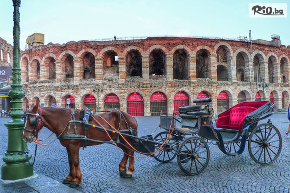 Йонека турс - thumb 2